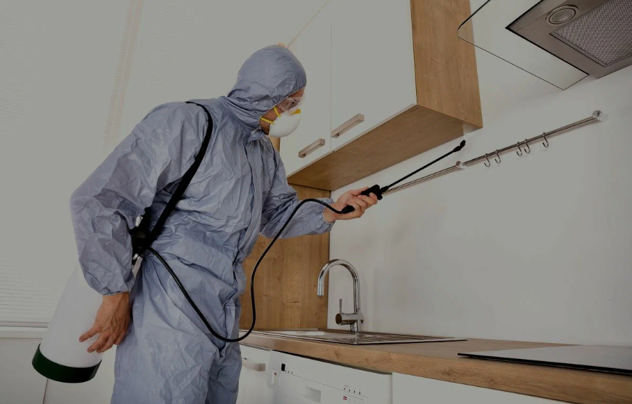 Apple Valley pest managment